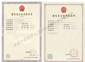專業(yè)代辦總包、專業(yè)承包與勞務(wù)分包資質(zhì)全解析 一站式服務(wù)助力企業(yè)發(fā)展